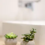 Close 弗罗茨瓦夫